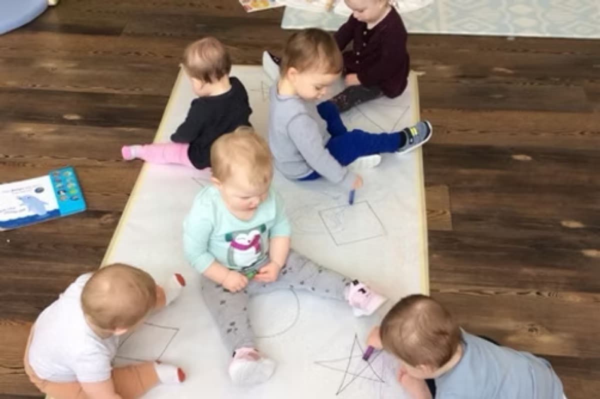 A day at The Learning Tree